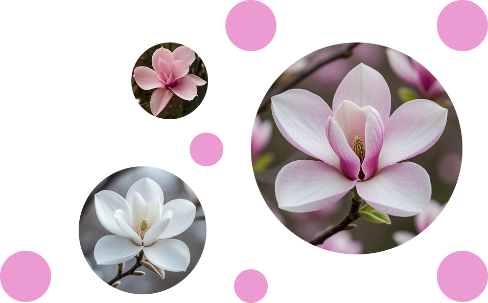 Цветочная композиция